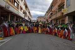 carnival-miguelturra-parade-2020