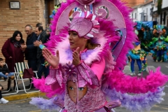 carnival-miguelturra-parade-2020