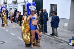 carnival-miguelturra-parade-2020