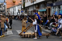 carnaval-miguelturra-desfile-2020