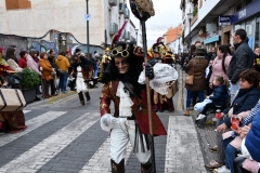 carnival-miguelturra-parade-2020
