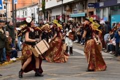 carnival-miguelturra-parade-2020