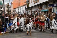 carnaval-miguelturra-desfile-2020