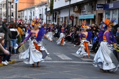 carnival-miguelturra-parade-2020