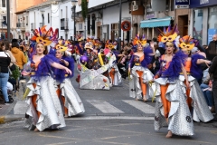carnival-miguelturra-parade-2020