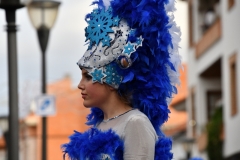 carnival-miguelturra-parade-2020