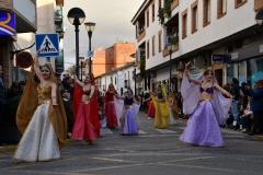 carnaval-miguelturra-desfile-2020