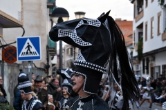 carnival-miguelturra-parade-2020