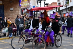 carnival-miguelturra-parade-2020