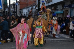 carnaval-miguelturra-desfile-2020