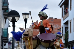 carnival-miguelturra-parade-2020