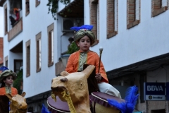 carnaval-miguelturra-desfile-2020