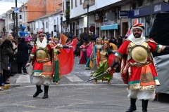 carnival-miguelturra-parade-2020
