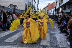 carnival-miguelturra-parade-2020