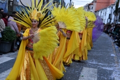 carnaval-miguelturra-desfile-2020