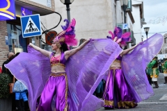 carnival-miguelturra-parade-2020