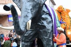 carnival-miguelturra-parade-2020