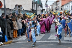 carnival-miguelturra-parade-2020