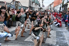 carnaval-miguelturra-desfile-2020