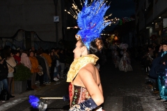 carnaval-miguelturra-desfile-2020