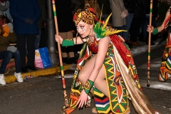carnaval-miguelturra-desfile-2020