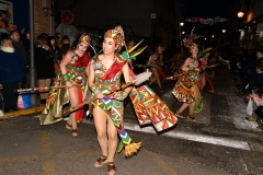 carnaval-miguelturra-desfile-2020