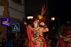 carnaval-miguelturra-desfile-2020