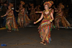 carnaval-miguelturra-desfile-2020