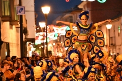 carnaval-miguelturra-desfile-2020