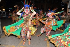 carnaval-miguelturra-desfile-2020