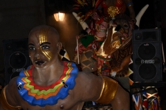 carnaval-miguelturra-desfile-2020