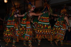 carnaval-miguelturra-desfile-2020