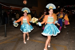 carnival-miguelturra-parade-2020
