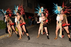 carnival-miguelturra-parade-2020