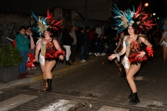 carnival-miguelturra-parade-2020