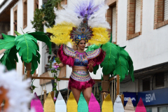 carnaval-miguelturra-desfile-2022