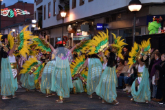 carnaval-miguelturra-desfile-2022
