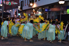 carnaval-miguelturra-desfile-2022