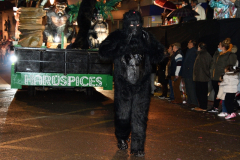 carnaval-miguelturra-desfile-2022