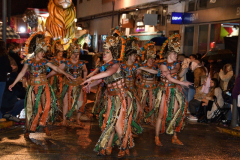 carnaval-miguelturra-desfile-2022