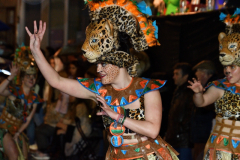 carnaval-miguelturra-desfile-2022