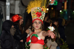 carnival-miguelturra-parade-2023