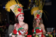 carnival-miguelturra-parade-2023