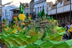 carnival-miguelturra-parade-2024