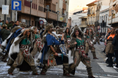 carnaval-miguelturra-desfile-2024