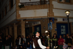 carnaval-miguelturra-desfile-2024
