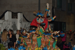 carnaval-miguelturra-desfile-2024
