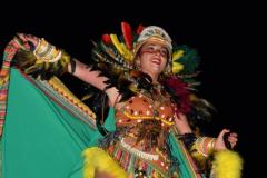 carnaval-miguelturra-desfile-2024