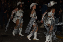 carnaval-miguelturra-desfile-2024