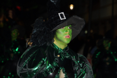 carnaval-miguelturra-desfile-2024